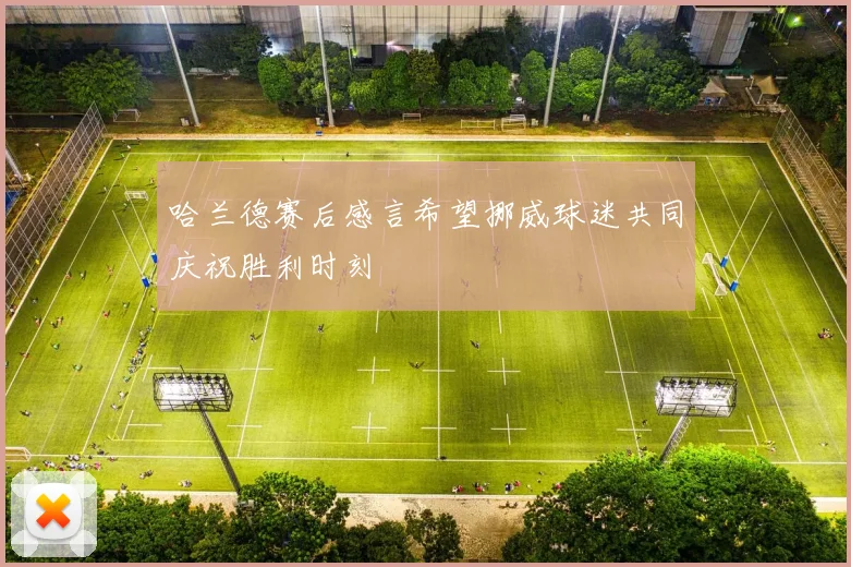 哈兰德赛后感言希望挪威球迷共同庆祝胜利时刻