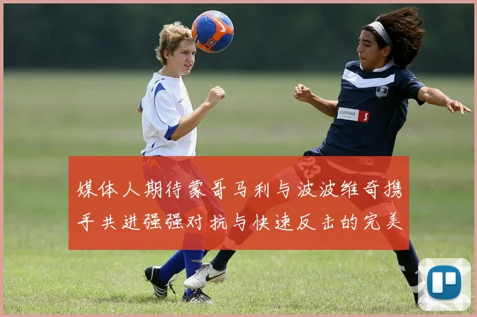 媒体人期待蒙哥马利与波波维奇携手共进强强对抗与快速反击的完美结合